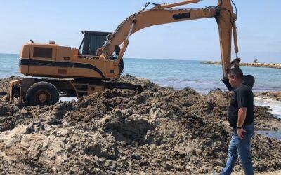 (Castellano) Santa Pola libera las playas de algas para facilitar para el baño