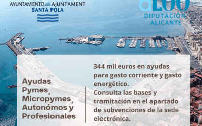 (Castellano) 344 mil euros en ayudas para Pymes, Micropymes, autónomos y profesionales