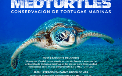 Protocolo de actuación ante la anidación de tortugas